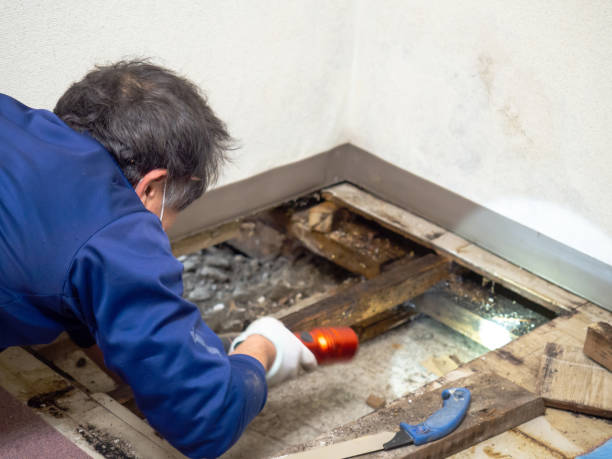 Best Industrial Mold Remediation in Frazeysburg, OH