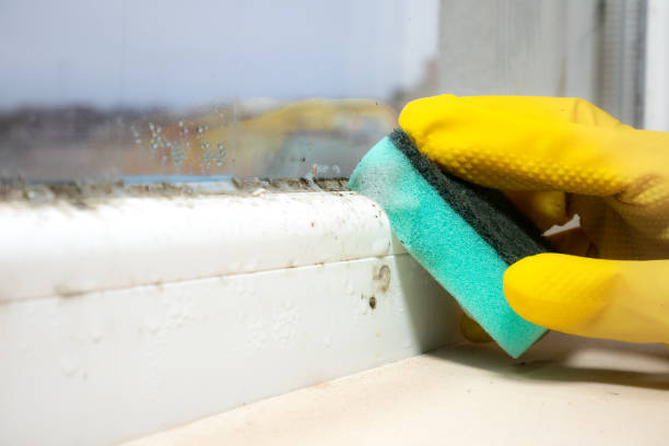 Best Industrial Mold Remediation in Frazeysburg, OH